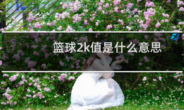 篮球2k值是什么意思图片