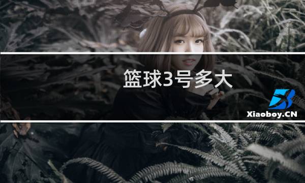 篮球3号多大图片