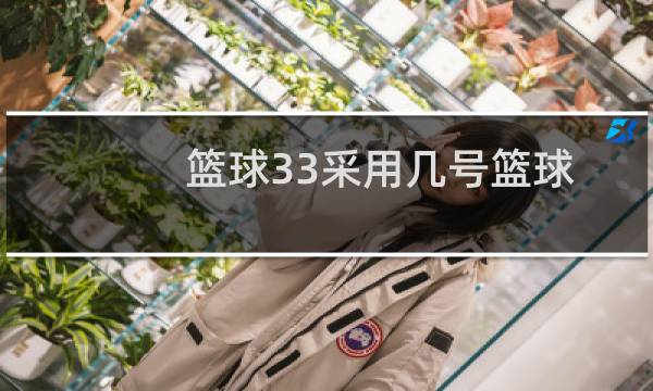 篮球33采用几号篮球图片