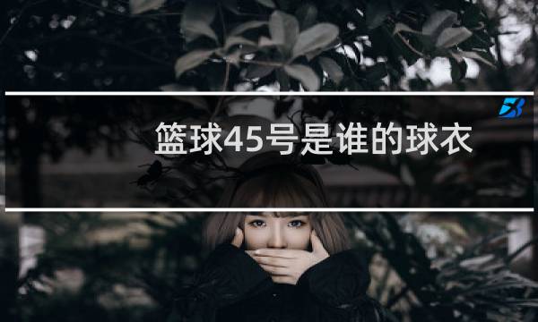 篮球45号是谁的球衣图片