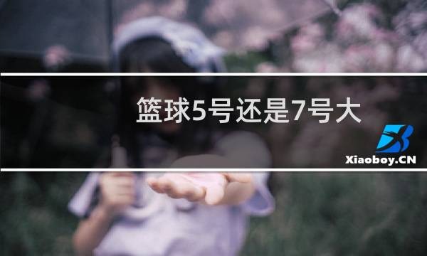 篮球5号还是7号大图片