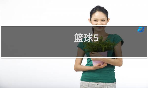 篮球5.5什么意思图片