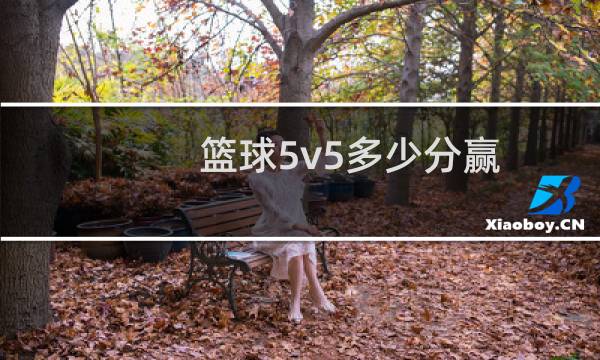 篮球5v5多少分赢图片
