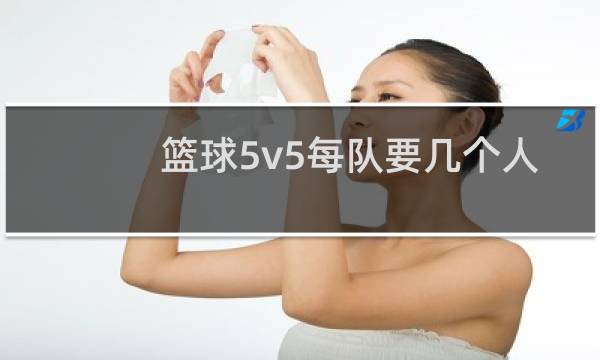 篮球5v5每队要几个人图片