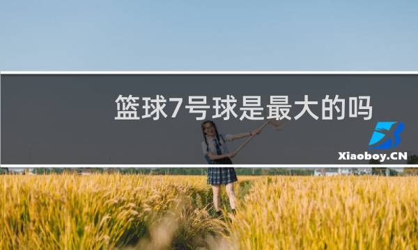 篮球7号球是最大的吗图片