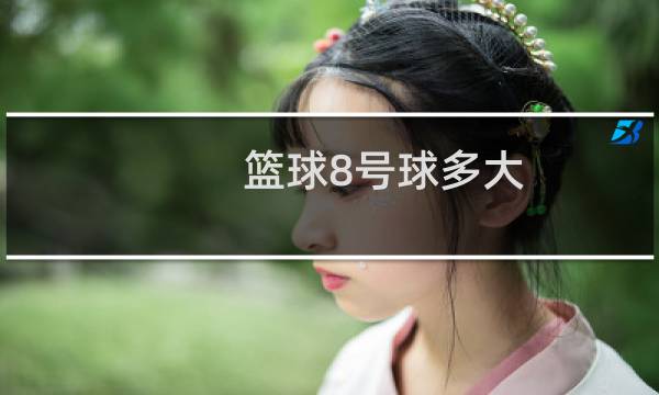 篮球8号球多大图片