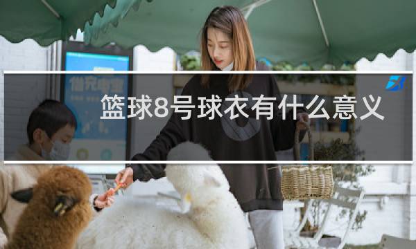 篮球8号球衣有什么意义图片