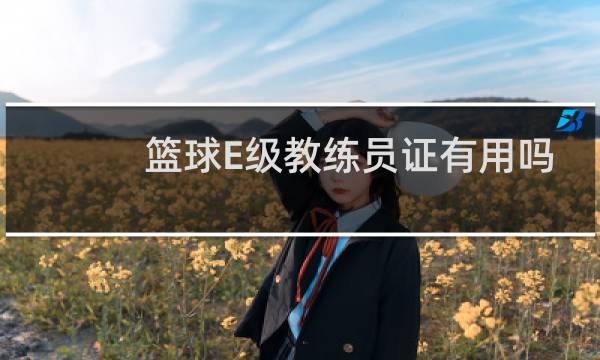 篮球E级教练员证有用吗图片