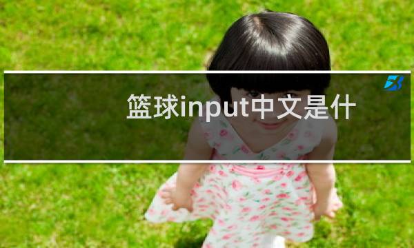 篮球input中文是什么意思图片