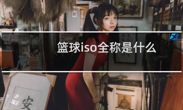篮球iso全称是什么图片