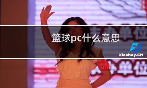 篮球pc什么意思图片
