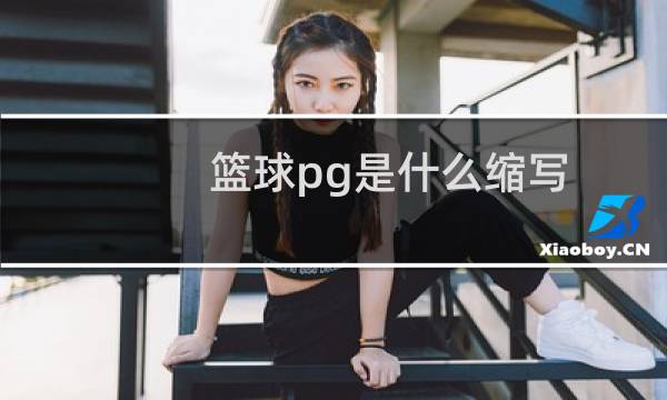篮球pg是什么缩写图片