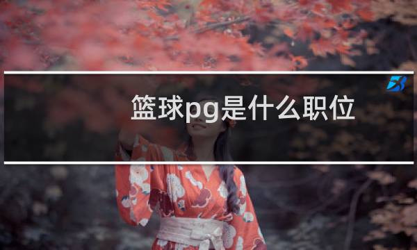 篮球pg是什么职位图片
