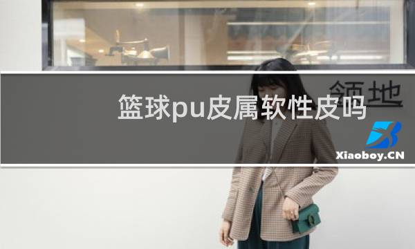 篮球pu皮属软性皮吗图片