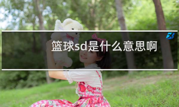 篮球sd是什么意思啊图片