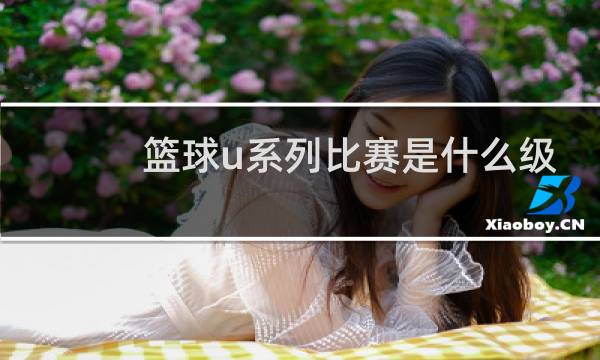 篮球u系列比赛是什么级别图片
