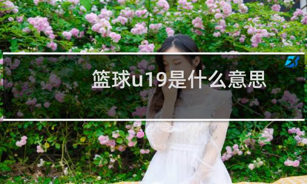 篮球u19是什么意思图片