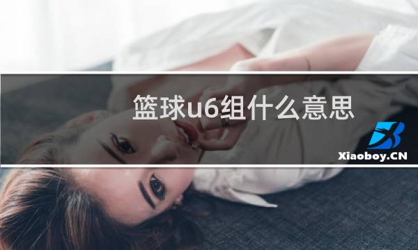 篮球u6组什么意思图片