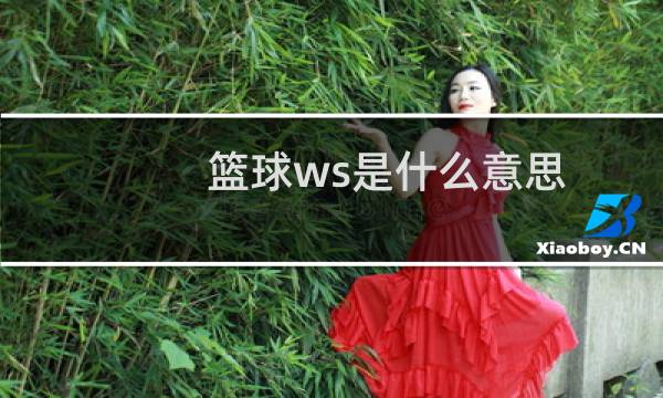 篮球ws是什么意思图片