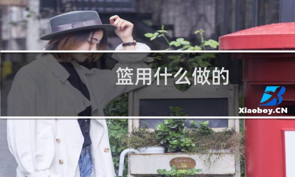 篮用什么做的图片