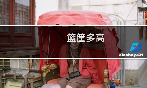 篮筐多高图片