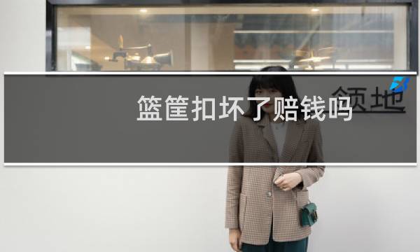 篮筐扣坏了赔钱吗图片