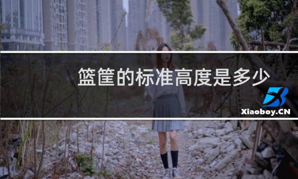 篮筐的标准高度是多少图片