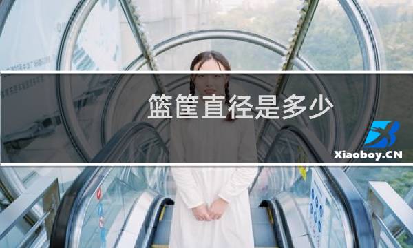 篮筐直径是多少图片