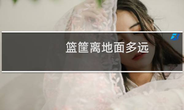 篮筐离地面多远图片
