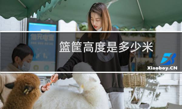 篮筐高度是多少米图片