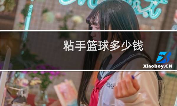 粘手篮球多少钱图片