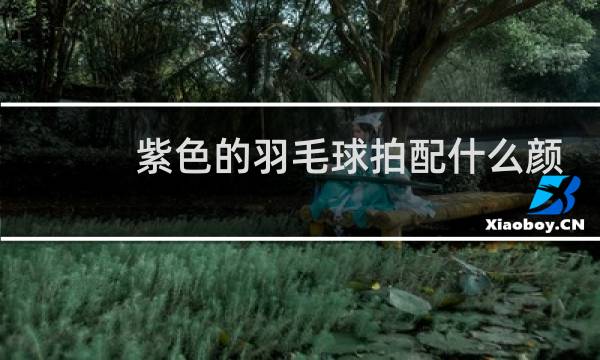 紫色的羽毛球拍配什么颜色的线好看图片