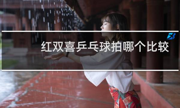 红双喜乒乓球拍哪个比较好图片