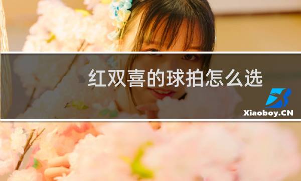 红双喜的球拍怎么选图片