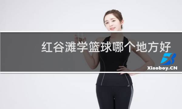 红谷滩学篮球哪个地方好图片