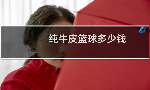 纯牛皮篮球多少钱图片