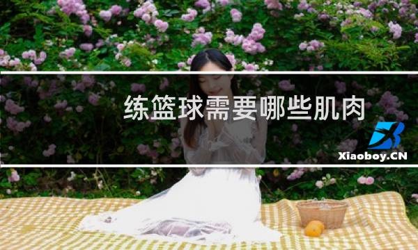 练篮球需要哪些肌肉图片