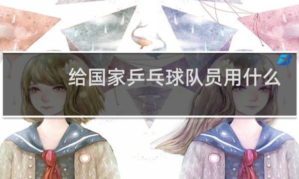 给国家乒乓球队员用什么球拍图片
