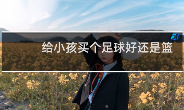 给小孩买个足球好还是篮球好图片