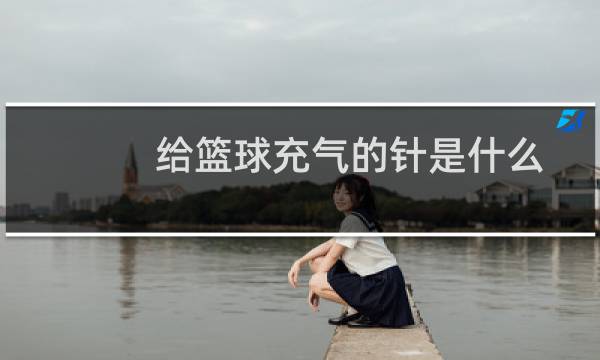 给篮球充气的针是什么图片