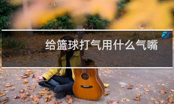 给篮球打气用什么气嘴图片