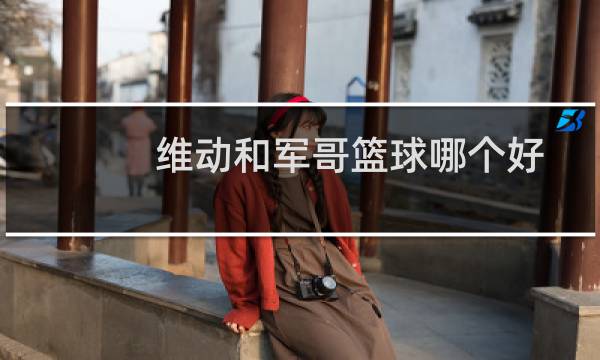 维动和军哥篮球哪个好图片