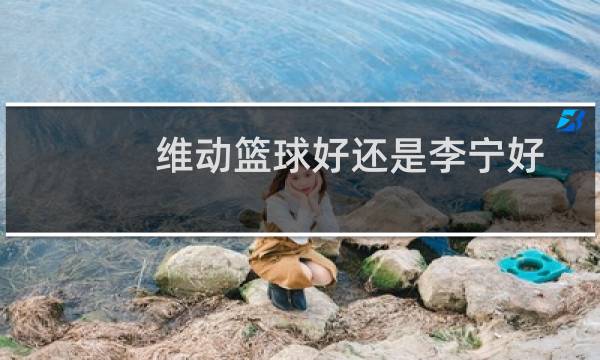 维动篮球好还是李宁好图片