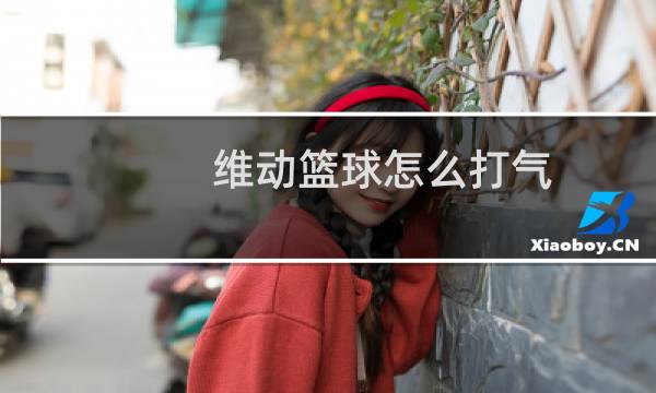 维动篮球怎么打气图片