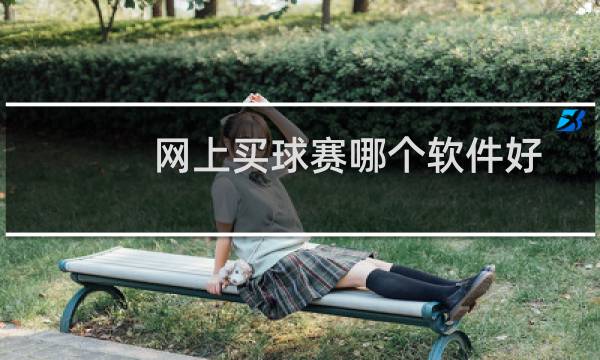 网上买球赛哪个软件好图片