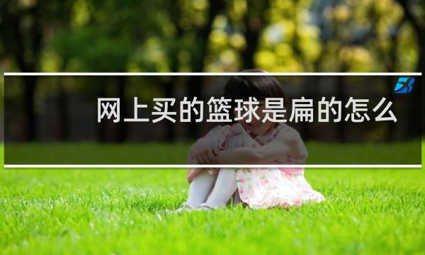 网上买的篮球是扁的怎么充气图片