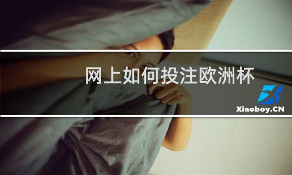 网上如何投注欧洲杯图片