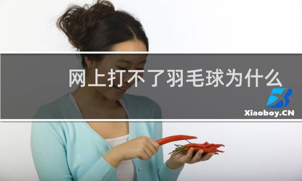 网上打不了羽毛球为什么图片