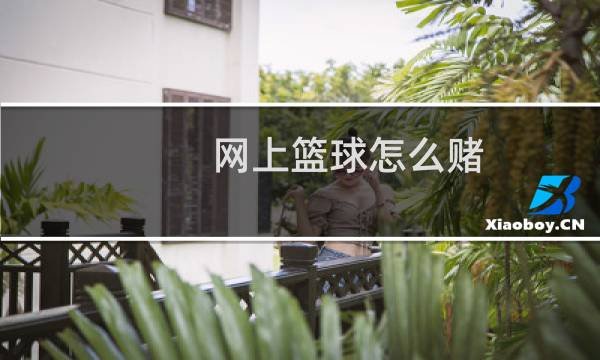 网上篮球怎么赌图片