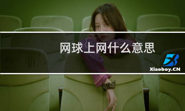 网球上网什么意思图片